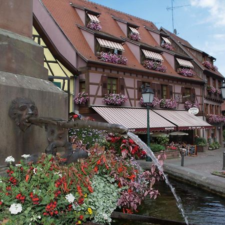 Hotel Au Lion Ribeauville  Luaran gambar