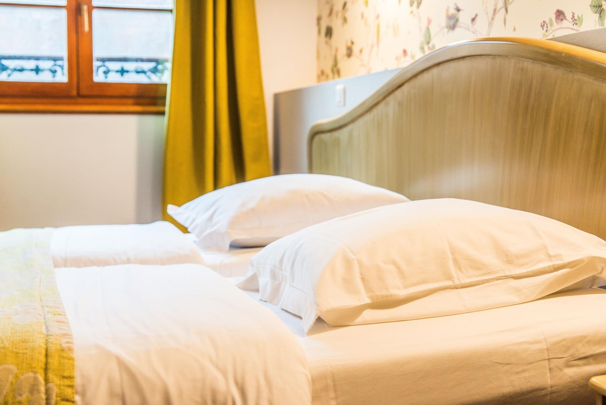 Hotel Au Lion Ribeauville  Luaran gambar