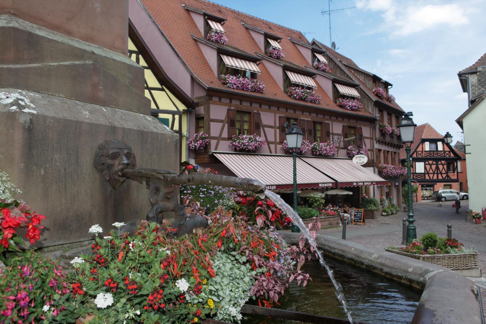 Hotel Au Lion Ribeauville  Luaran gambar